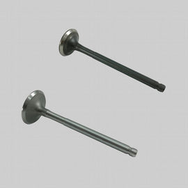 Honda Innova ANF 125 ( alle ) Satz Motor - Ventile 